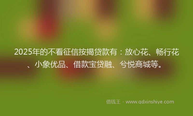 2025年的不看征信按揭贷款有：放心花、畅行花、小象优品、借款宝贷融、兮悦商城等。
