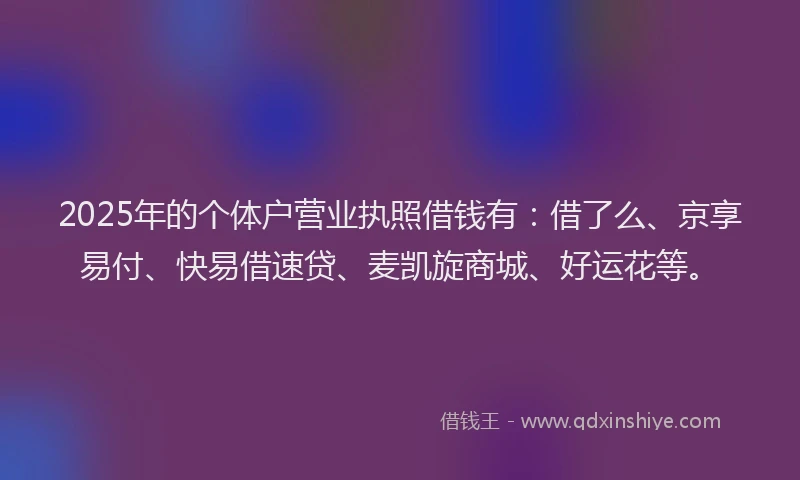 2025年的个体户营业执照借钱有：借了么、京享易付、快易借速贷、麦凯旋商城、好运花等。