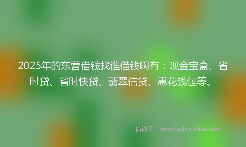 2025年的东营借钱找谁借钱啊有：现金宝盒、省时贷、省时快贷、翡翠信贷、惠花钱包等。