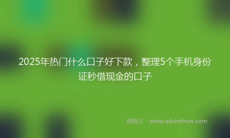 2025年热门什么口子好下款，整理5个手机身份证秒借现金的口子