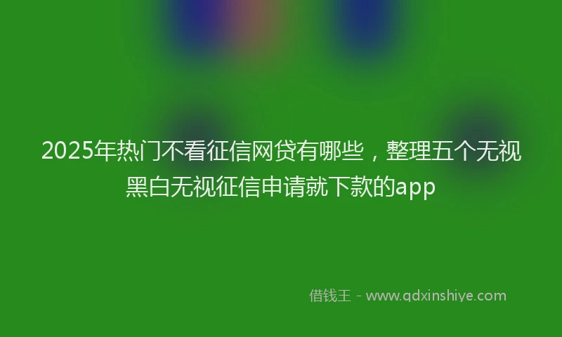 2025年热门不看征信网贷有哪些，整理五个无视黑白无视征信申请就下款的app
