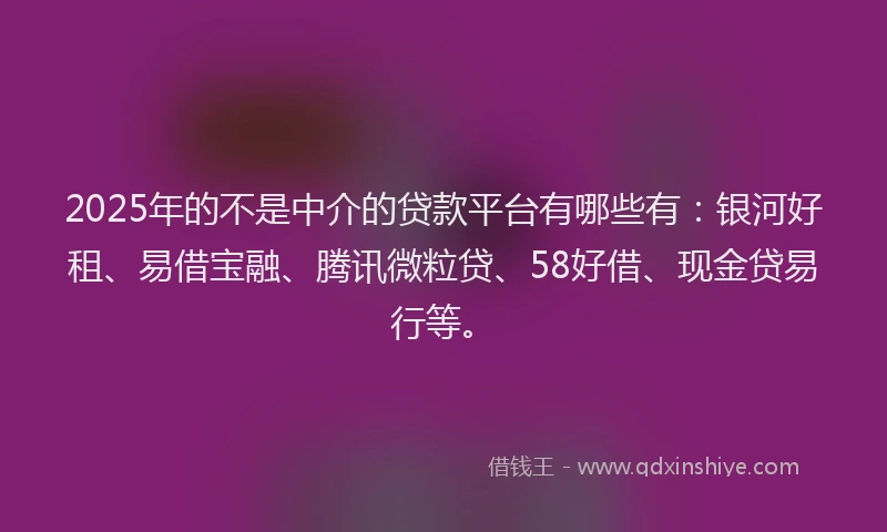 2025年的不是中介的贷款平台有哪些有：银河好租、易借宝融、腾讯微粒贷、58好借、现金贷易行等。