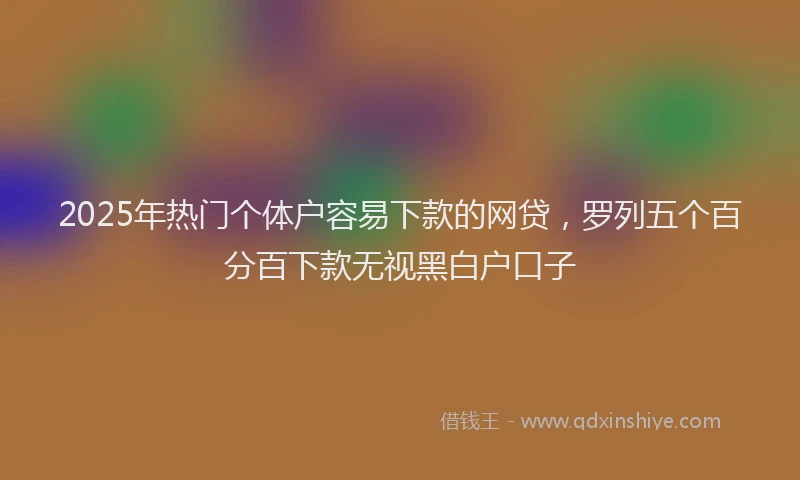 2025年热门个体户容易下款的网贷，罗列五个百分百下款无视黑白户口子