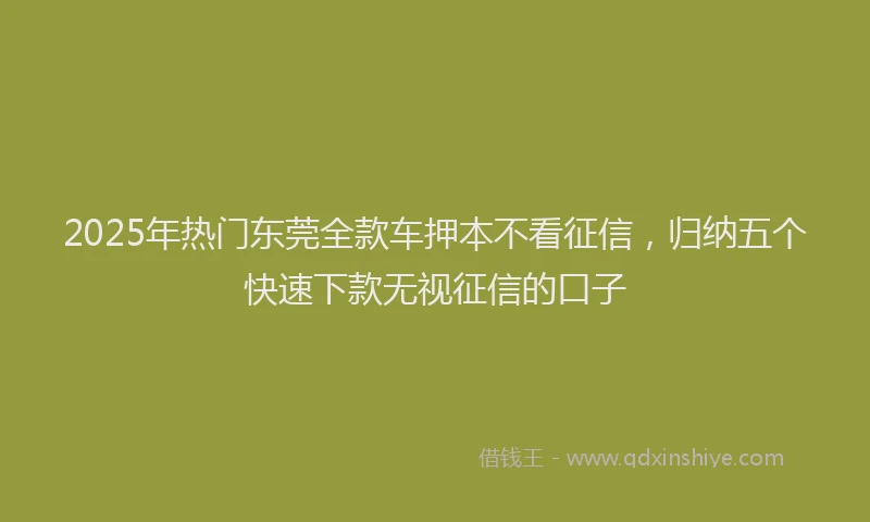2025年热门东莞全款车押本不看征信，归纳五个快速下款无视征信的口子