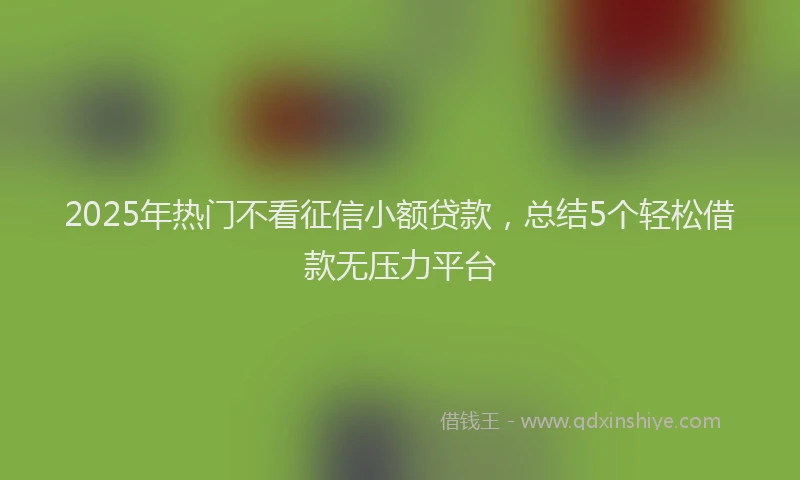 2025年热门不看征信小额贷款，总结5个轻松借款无压力平台