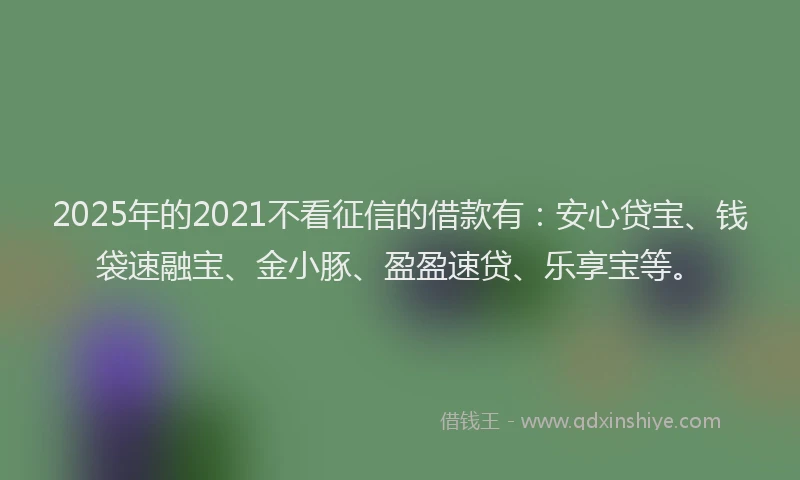 2025年的2021不看征信的借款有：安心贷宝、钱袋速融宝、金小豚、盈盈速贷、乐享宝等。