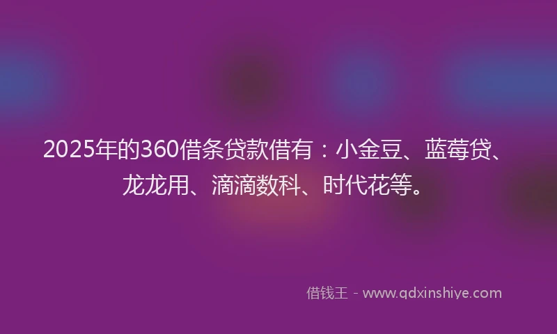 2025年的360借条贷款借有：小金豆、蓝莓贷、龙龙用、滴滴数科、时代花等。