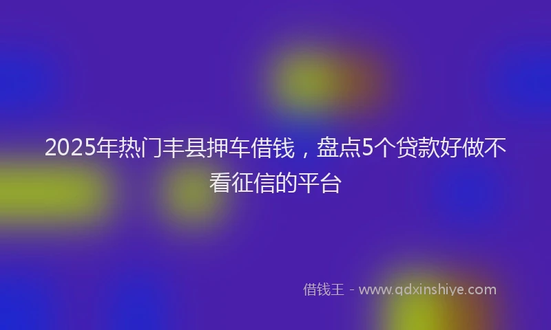 2025年热门丰县押车借钱，盘点5个贷款好做不看征信的平台