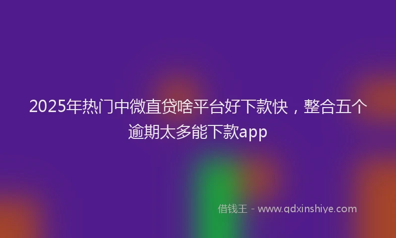 2025年热门中微直贷啥平台好下款快，整合五个逾期太多能下款app