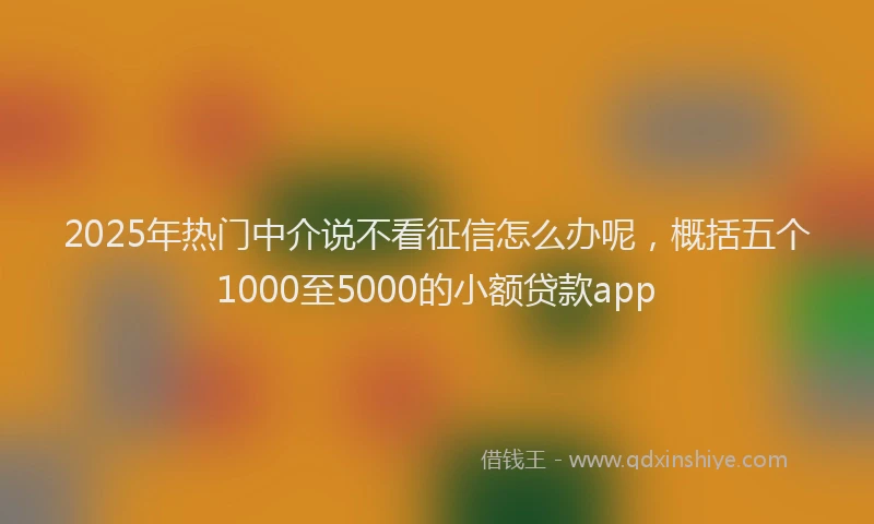 2025年热门中介说不看征信怎么办呢，概括五个1000至5000的小额贷款app