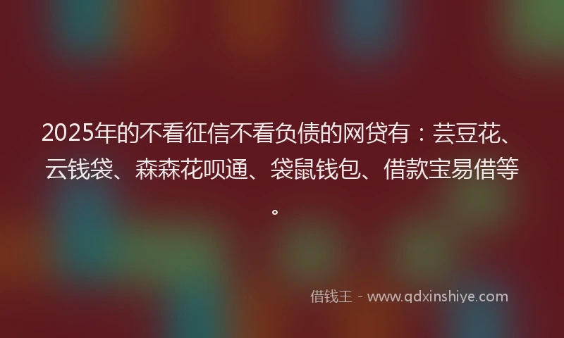 2025年的不看征信不看负债的网贷有：芸豆花、云钱袋、森森花呗通、袋鼠钱包、借款宝易借等。