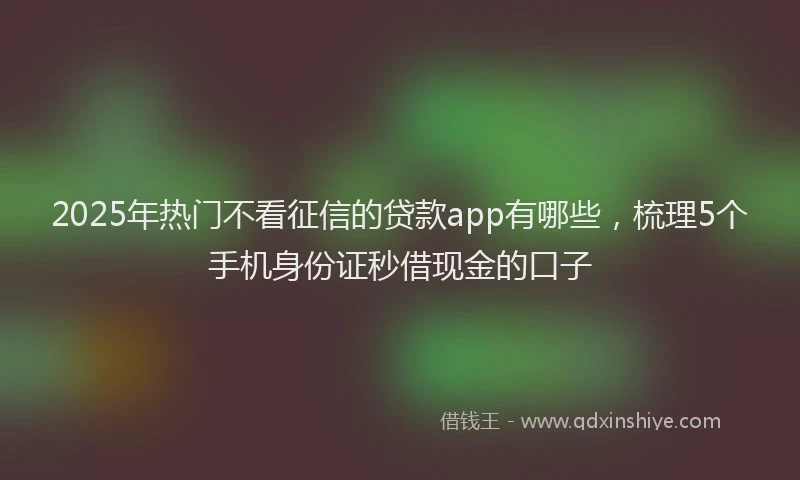 2025年热门不看征信的贷款app有哪些，梳理5个手机身份证秒借现金的口子