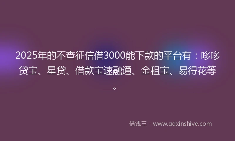 2025年的不查征信借3000能下款的平台有：哆哆贷宝、星贷、借款宝速融通、金租宝、易得花等。