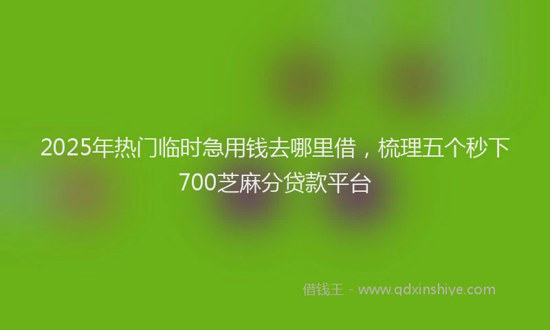 2025年热门临时急用钱去哪里借，梳理五个秒下700芝麻分贷款平台