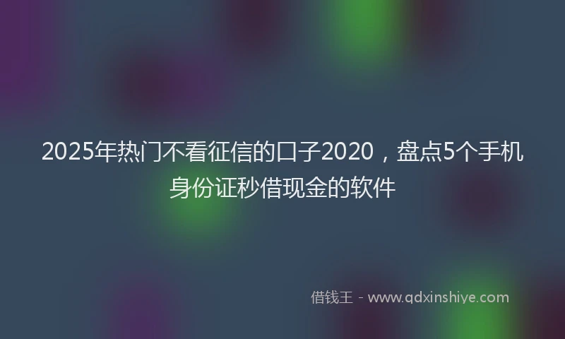 2025年热门不看征信的口子2020，盘点5个手机身份证秒借现金的软件