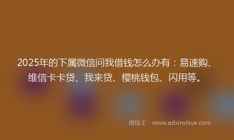2025年的下属微信问我借钱怎么办有：易速购、维信卡卡贷、我来贷、樱桃钱包、闪用等。