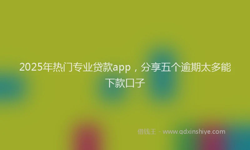 2025年热门专业贷款app，分享五个逾期太多能下款口子