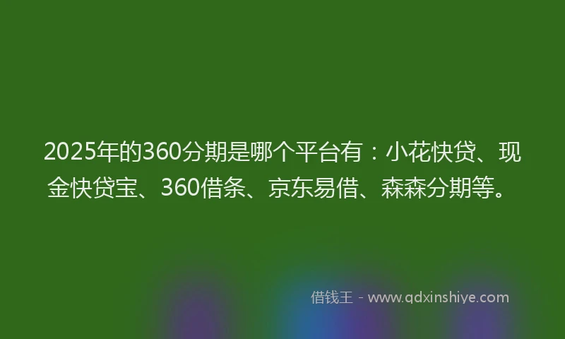 2025年的360分期是哪个平台有：小花快贷、现金快贷宝、360借条、京东易借、森森分期等。
