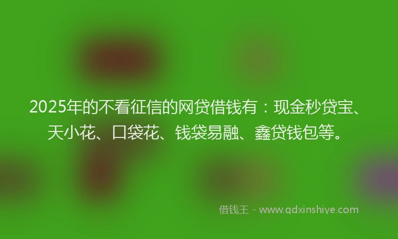 2025年的不看征信的网贷借钱有：现金秒贷宝、天小花、口袋花、钱袋易融、鑫贷钱包等。