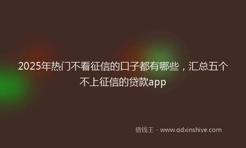 2025年热门不看征信的口子都有哪些，汇总五个不上征信的贷款app