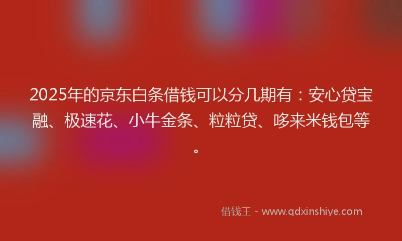 2025年的京东白条借钱可以分几期有：安心贷宝融、极速花、小牛金条、粒粒贷、哆来米钱包等。