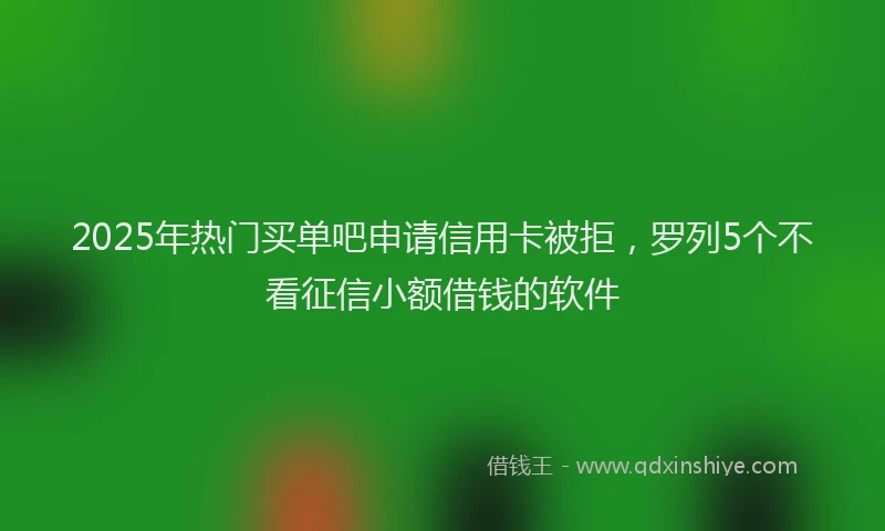 2025年热门买单吧申请信用卡被拒，罗列5个不看征信小额借钱的软件