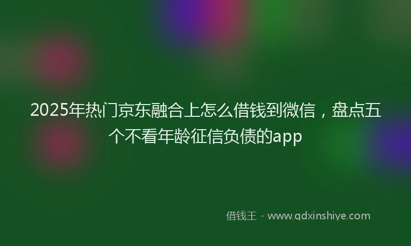 2025年热门京东融合上怎么借钱到微信，盘点五个不看年龄征信负债的app