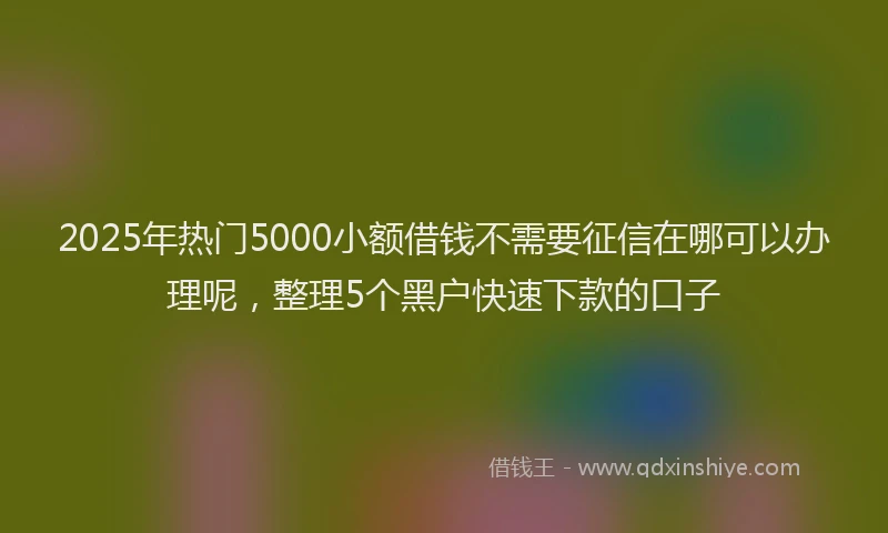 2025年热门5000小额借钱不需要征信在哪可以办理呢，整理5个黑户快速下款的口子