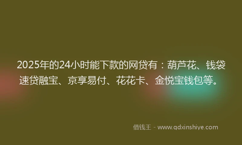 2025年的24小时能下款的网贷有：葫芦花、钱袋速贷融宝、京享易付、花花卡、金悦宝钱包等。