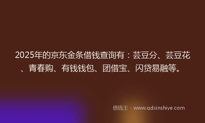 2025年的京东金条借钱查询有：芸豆分、芸豆花、青春购、有钱钱包、团借宝、闪贷易融等。