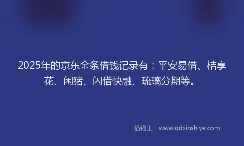 2025年的京东金条借钱记录有：平安易借、桔享花、闲猪、闪借快融、琉璃分期等。