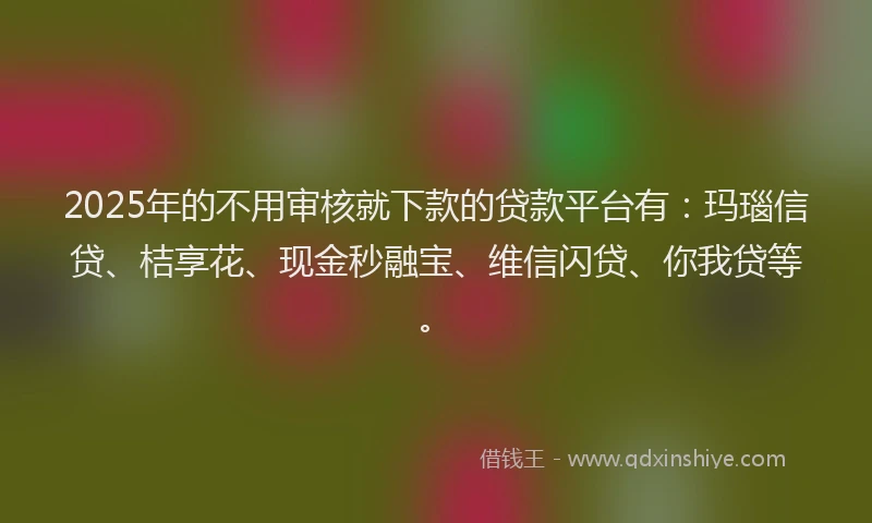 2025年的不用审核就下款的贷款平台有：玛瑙信贷、桔享花、现金秒融宝、维信闪贷、你我贷等。