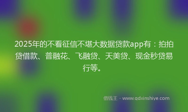 2025年的不看征信不堪大数据贷款app有：拍拍贷借款、普融花、飞融贷、天美贷、现金秒贷易行等。