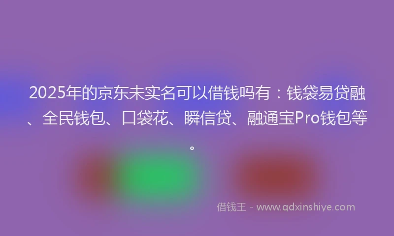2025年的京东未实名可以借钱吗有：钱袋易贷融、全民钱包、口袋花、瞬信贷、融通宝Pro钱包等。
