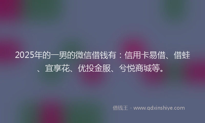 2025年的一男的微信借钱有：信用卡易借、借蛙、宜享花、优投金服、兮悦商城等。