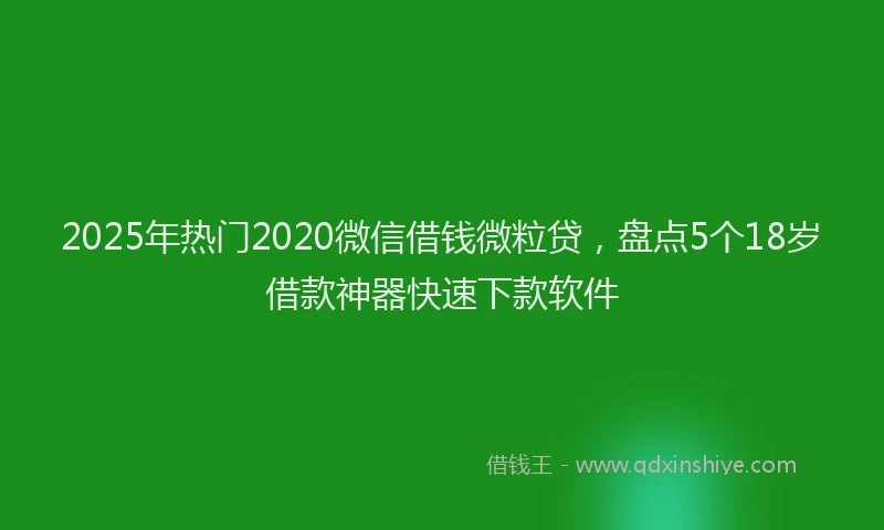 2025年热门2020微信借钱微粒贷，盘点5个18岁借款神器快速下款软件