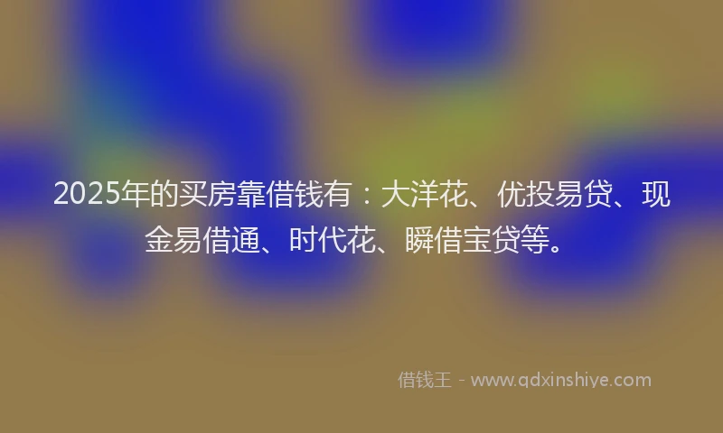 2025年的买房靠借钱有：大洋花、优投易贷、现金易借通、时代花、瞬借宝贷等。