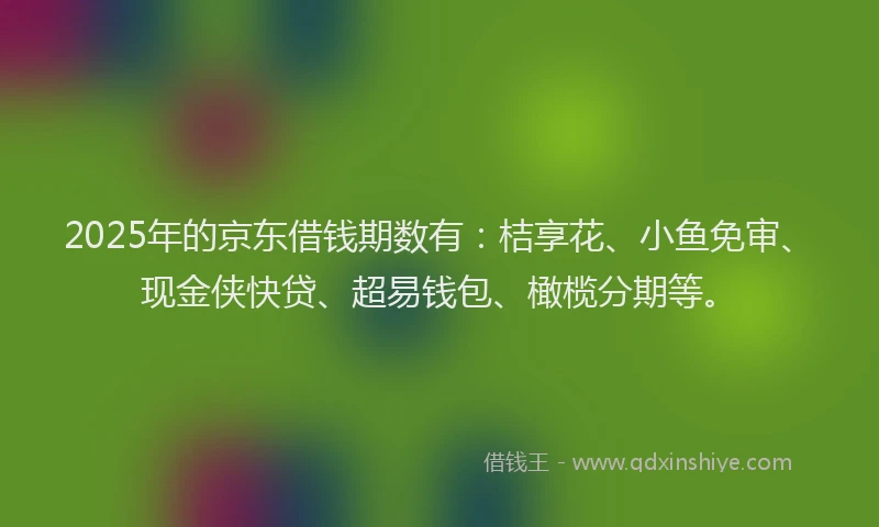 2025年的京东借钱期数有：桔享花、小鱼免审、现金侠快贷、超易钱包、橄榄分期等。