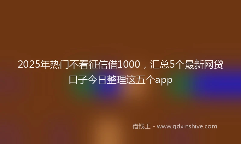 2025年热门不看征信借1000，汇总5个最新网贷口子今日整理这五个app