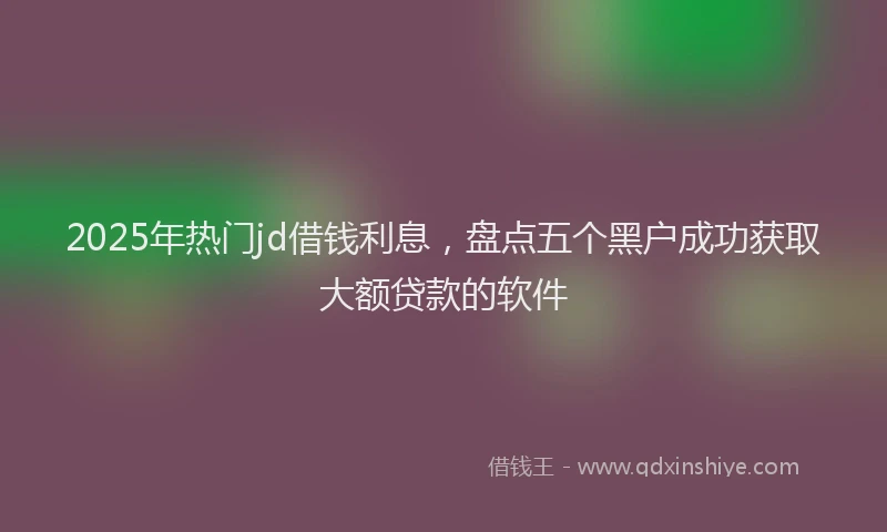 2025年热门jd借钱利息，盘点五个黑户成功获取大额贷款的软件