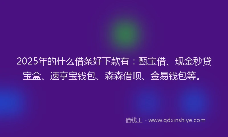 2025年的什么借条好下款有：甄宝借、现金秒贷宝盒、速享宝钱包、森森借呗、金易钱包等。