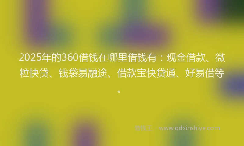 2025年的360借钱在哪里借钱有：现金借款、微粒快贷、钱袋易融途、借款宝快贷通、好易借等。