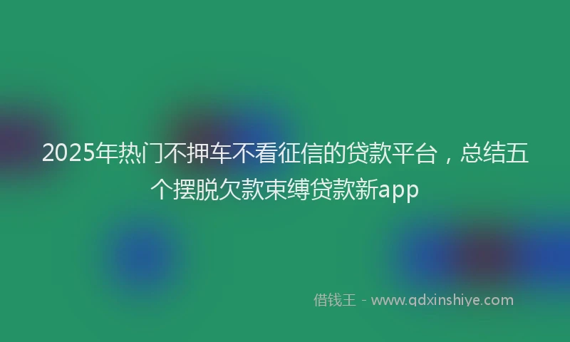 2025年热门不押车不看征信的贷款平台，总结五个摆脱欠款束缚贷款新app