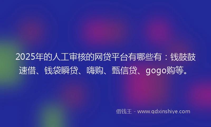 2025年的人工审核的网贷平台有哪些有：钱鼓鼓速借、钱袋瞬贷、嗨购、甄信贷、gogo购等。