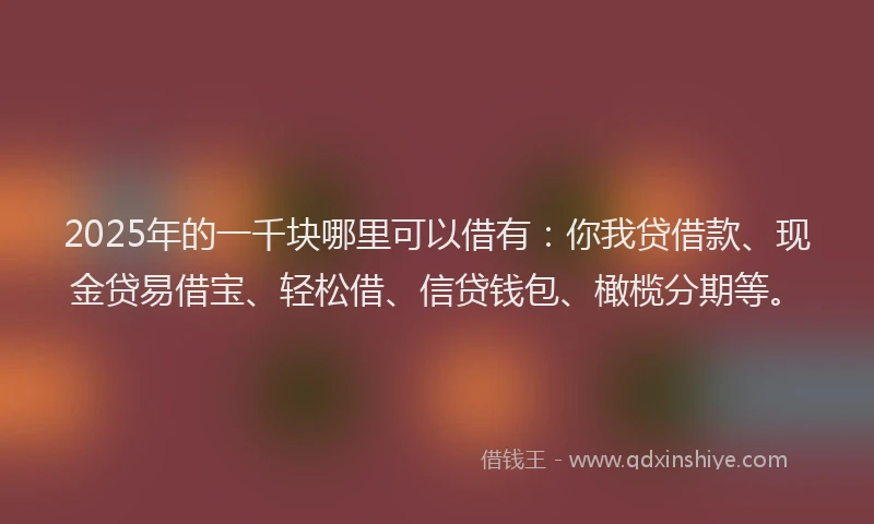 2025年的一千块哪里可以借有：你我贷借款、现金贷易借宝、轻松借、信贷钱包、橄榄分期等。