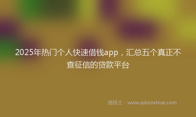 2025年热门个人快速借钱app，汇总五个真正不查征信的贷款平台