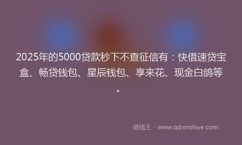 2025年的5000贷款秒下不查征信有:快借速贷宝盒、畅贷钱包、星辰钱包、享来花、现金白鸽等。