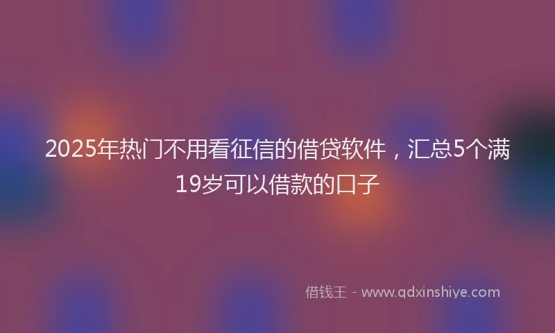 2025年热门不用看征信的借贷软件，汇总5个满19岁可以借款的口子