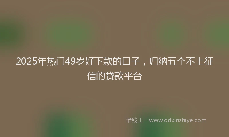 2025年热门49岁好下款的口子，归纳五个不上征信的贷款平台