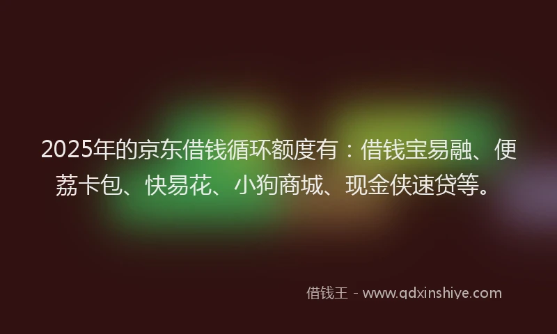 2025年的京东借钱循环额度有：借钱宝易融、便荔卡包、快易花、小狗商城、现金侠速贷等。